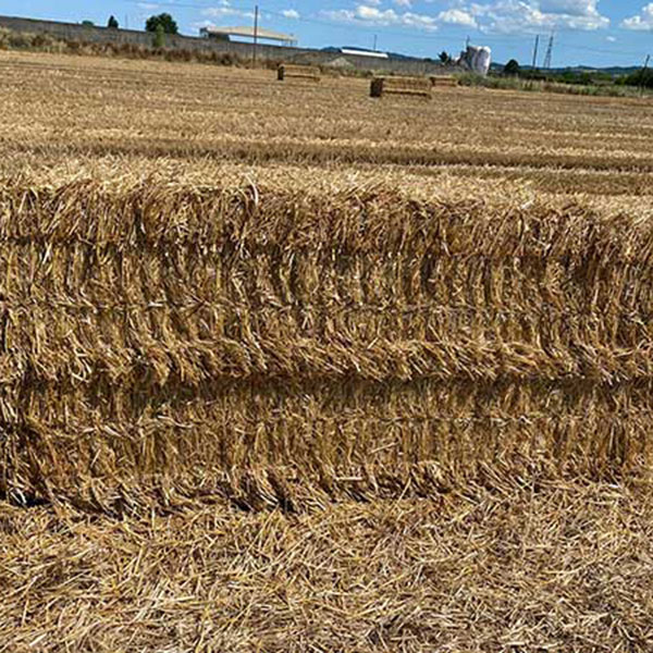 paglia-da-campo-in-balloni